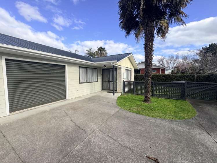 19b Te Aute Road Havelock North_0