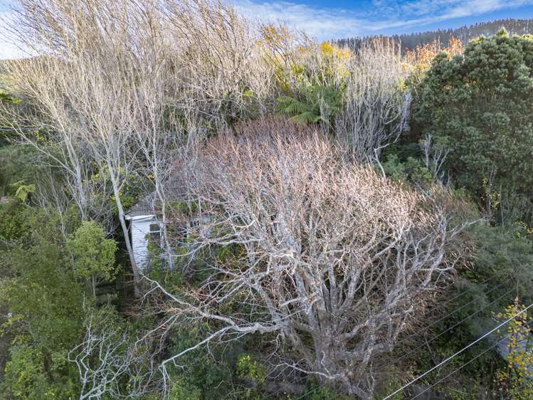 17 Romney Square Tawa_13