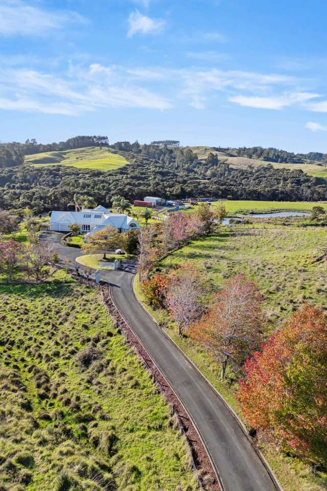 430 Blackbridge Road Dairy Flat_4