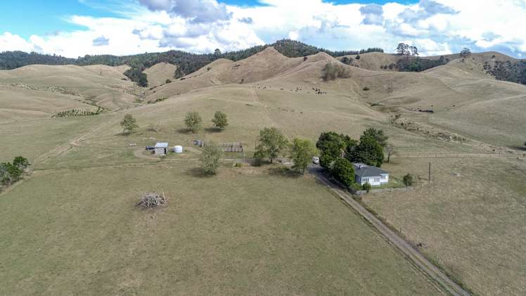 2586 State Highway 2 Maramarua_5