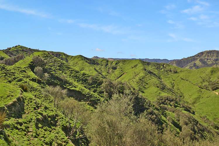 993 Upper Retaruke Road Ruapehu-King Country Surrounds_14