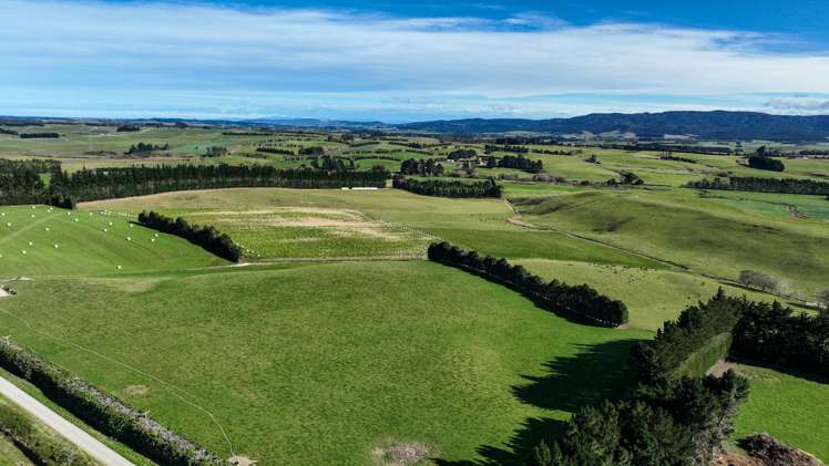 55 McGill Road Te Tipua_9