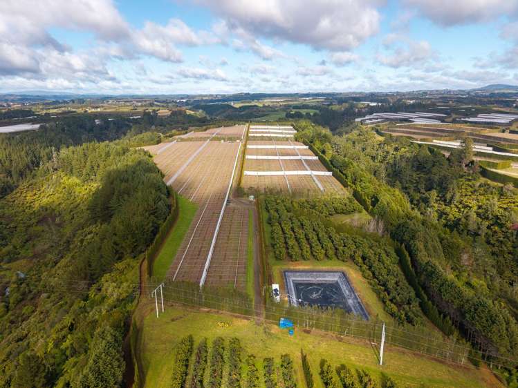 852 Rangiuru Road Rangiuru_21
