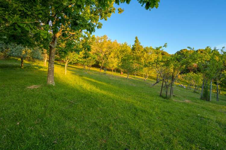 174 Wakapuaka Road Wakapuaka_24