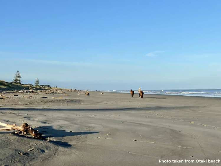 44a Moana Street Otaki Beach_32