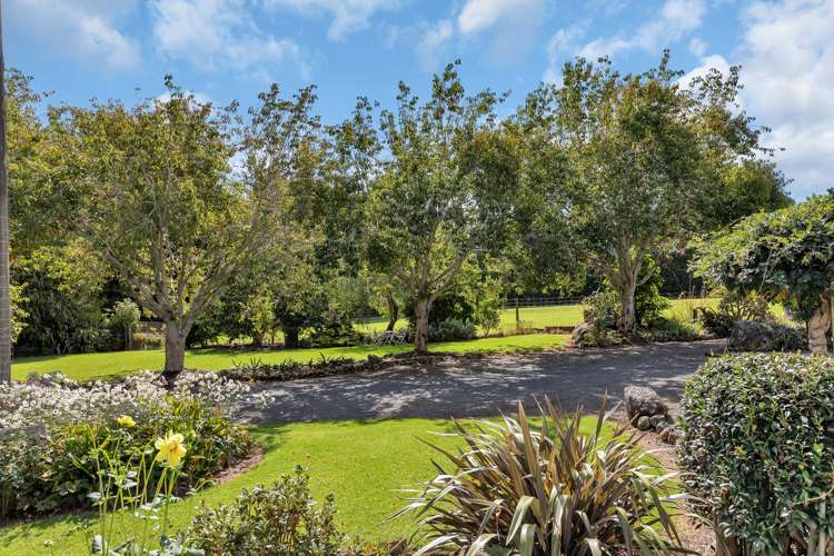 410a Whatitiri Road Poroti_12
