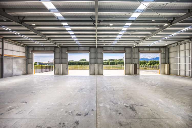 8 Manatu Way Richmond_5