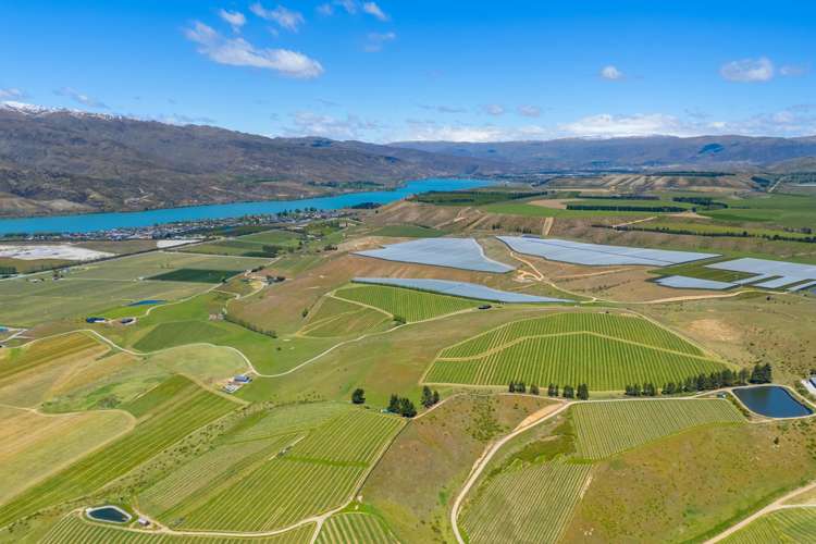 1005 Luggate-Cromwell Road Mount Pisa_33