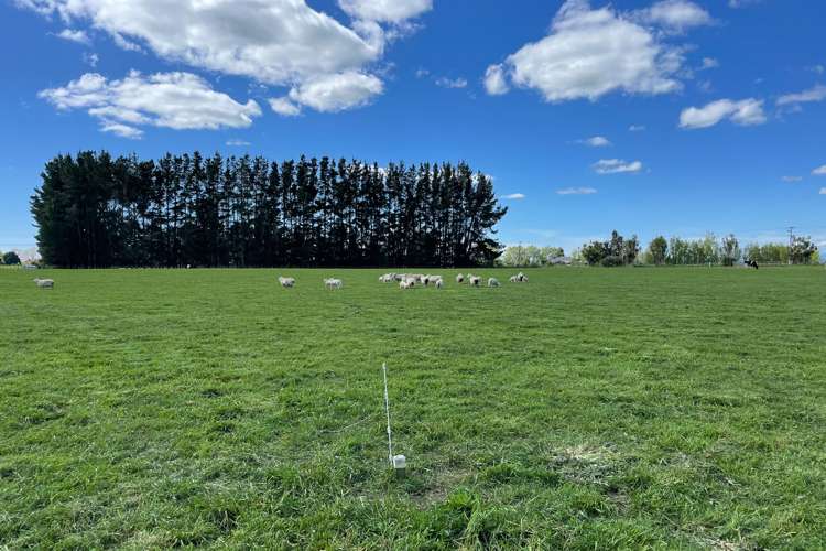 Mount Stewart Halcombe Road Sanson_7