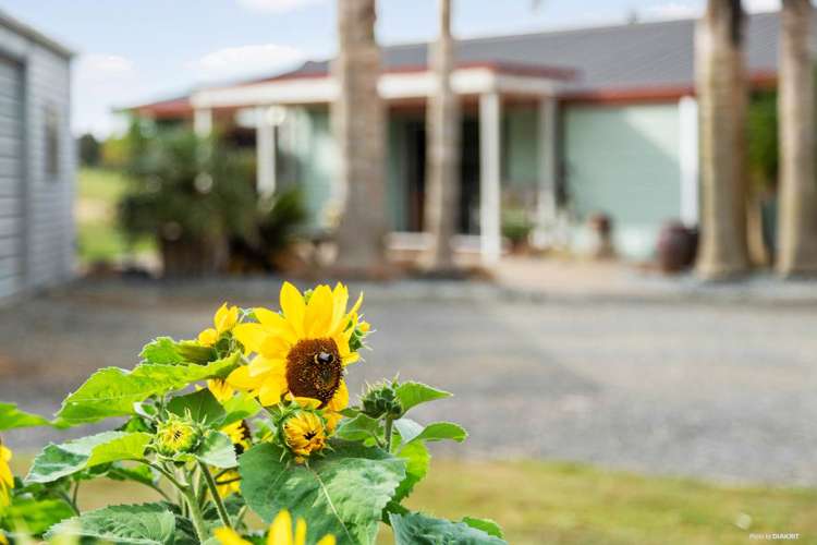 201 Kauri Road Onewhero_7