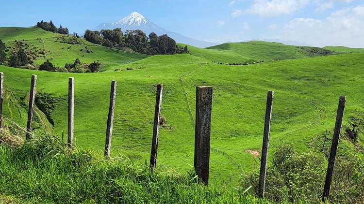 794 Tariki Road Ratapiko_24