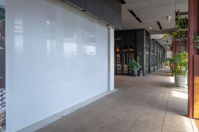 Suite 102, 38 Elizabeth Street City Centre_3