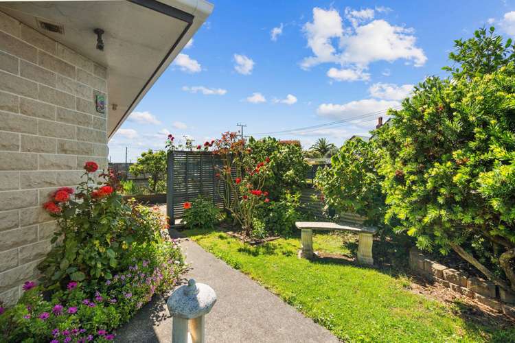 43 Worksop Road Masterton_15