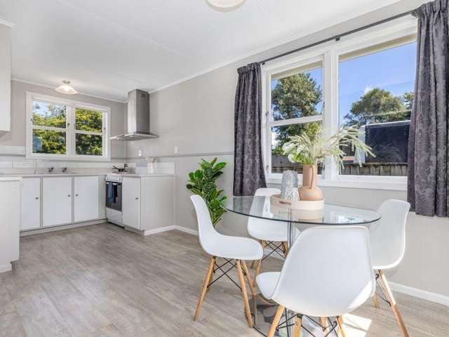 48a Vance Street 1226_3