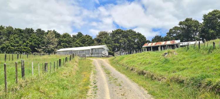 398 Bull Road Paparoa_24