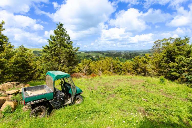 48 Doel Road Kawakawa_30