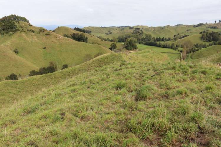 292 Gordon Road Toko_23