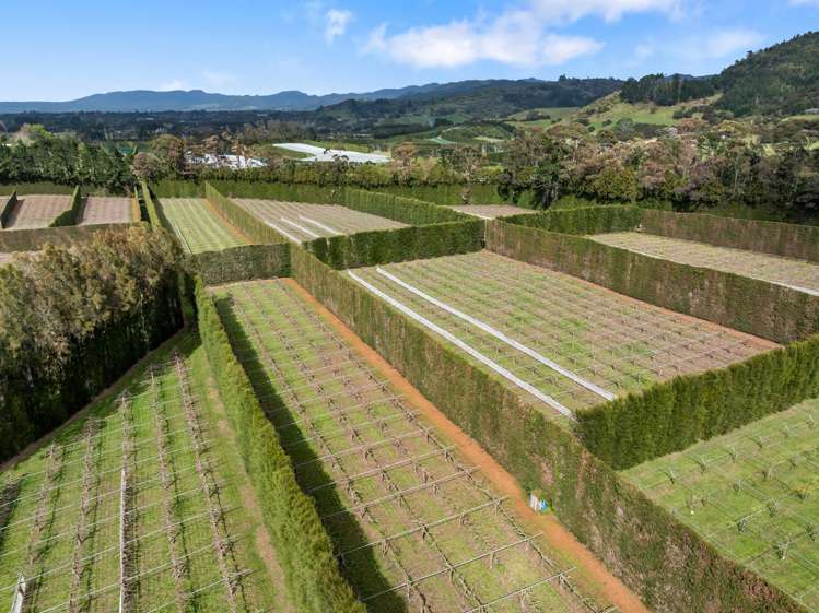 863 State Highway 2 Tanners Point_6