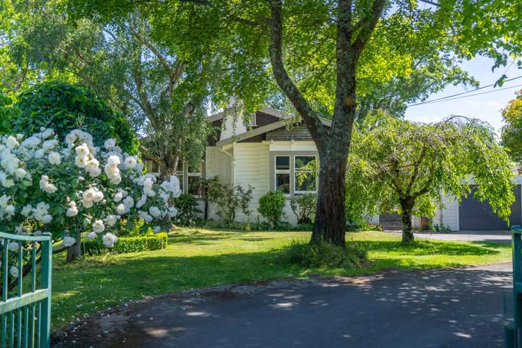 50 Essex Street Masterton_24