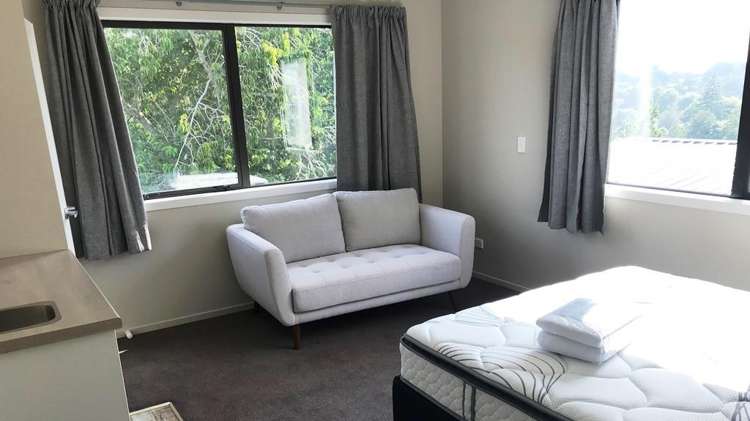 Room B/21D Park Terrace Hamilton Central_9