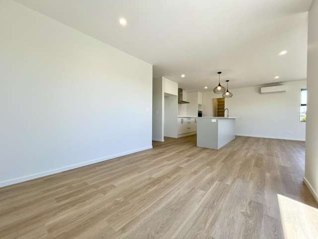 1 Scots Drive Rolleston_4