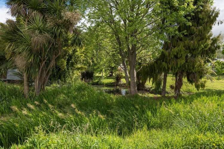 29d Harrisfield Drive Hairini_16