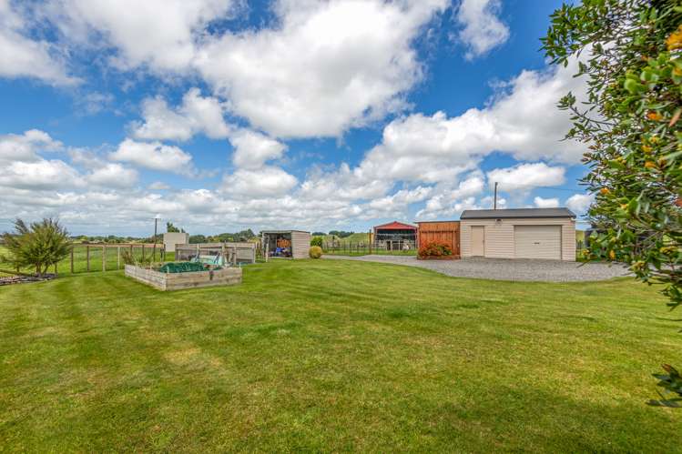 47 Viles Road Bulls_23