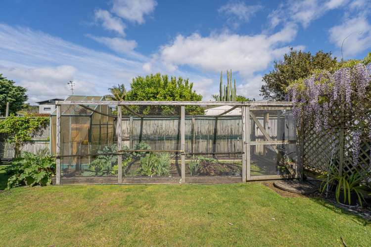 36 Oyster Drive Cooks Beach_31