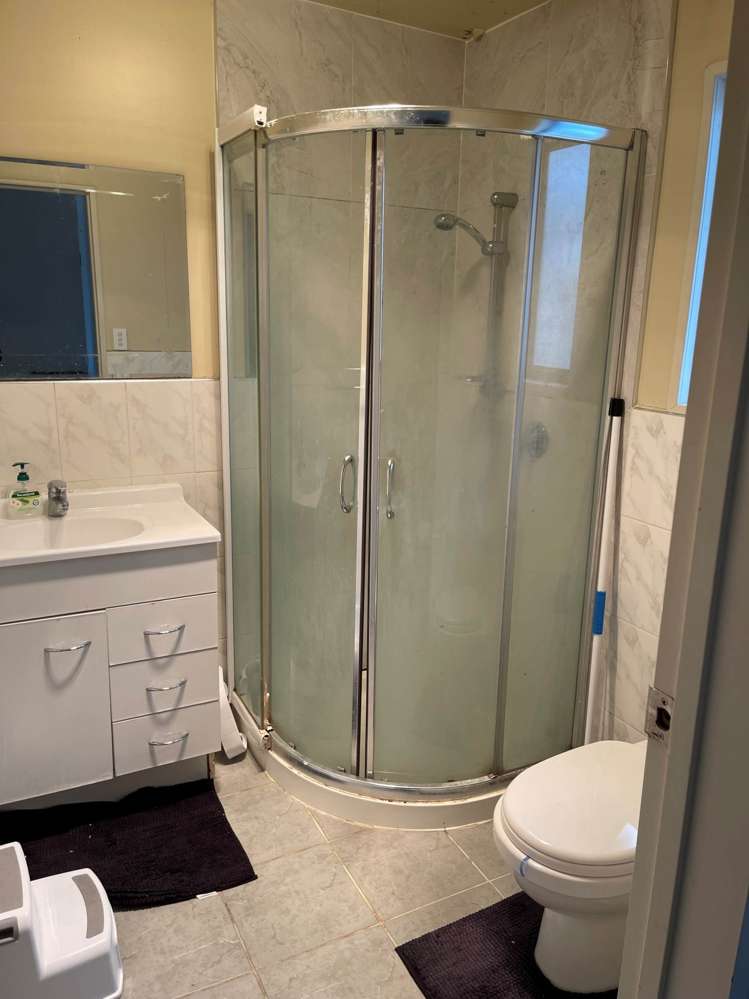 141a Rosebank Road Avondale_5