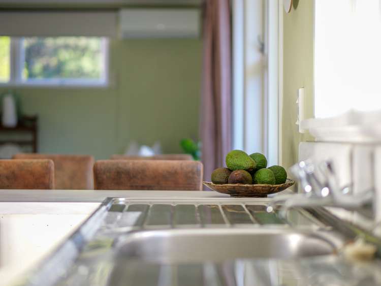 24 Hope Avenue Russell_29