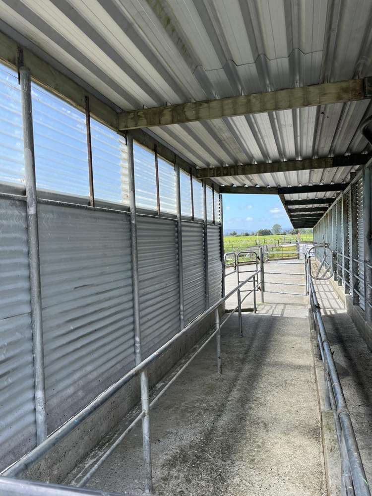 28 Stopbank Road Kowhitirangi_7