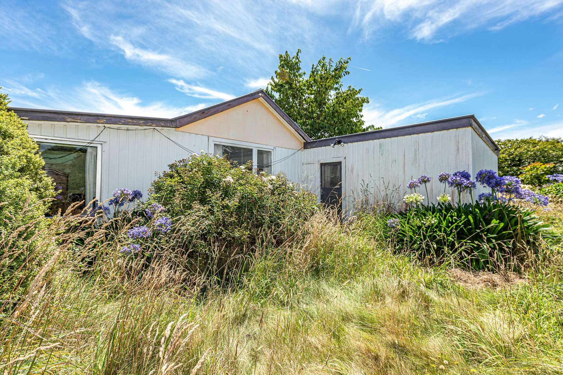 26 Brassey Street Waverley_0