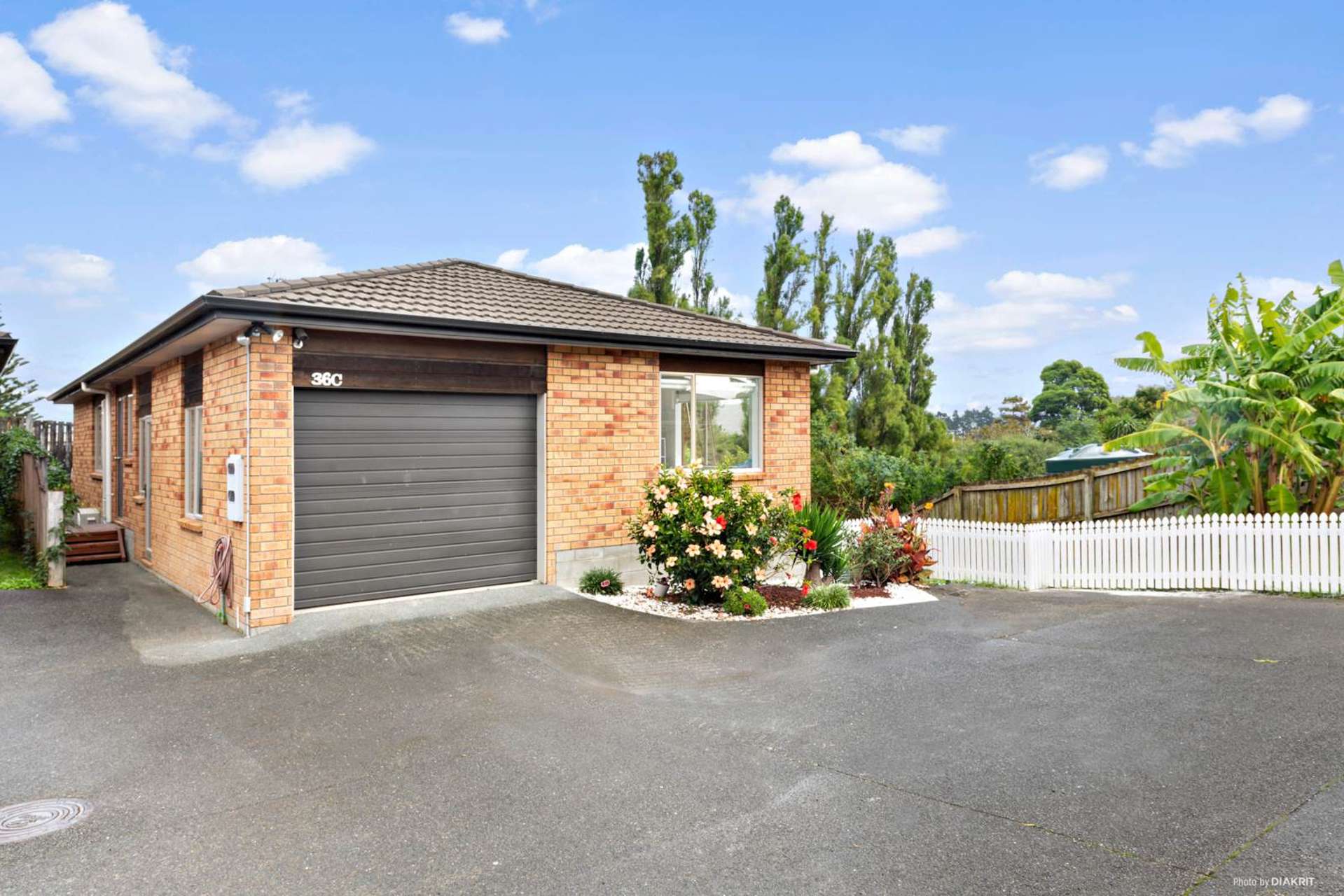 36c Chalmers Street Avondale_0