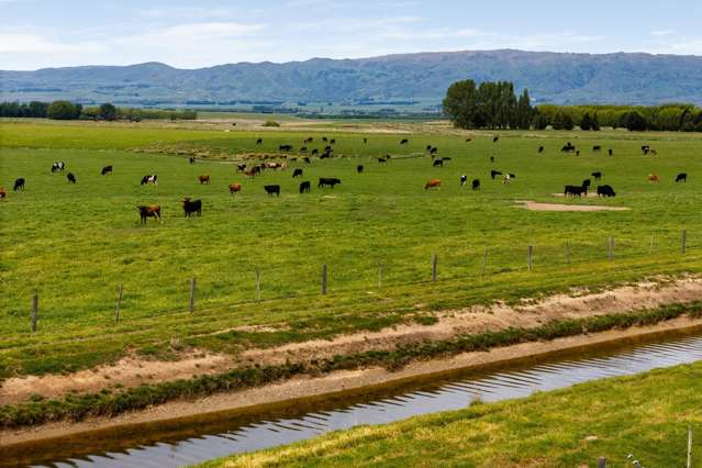 Pendella Farm, 72 Gibson Road Ranfurly_4