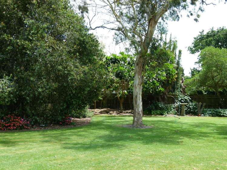 150 South Road Waipu_23