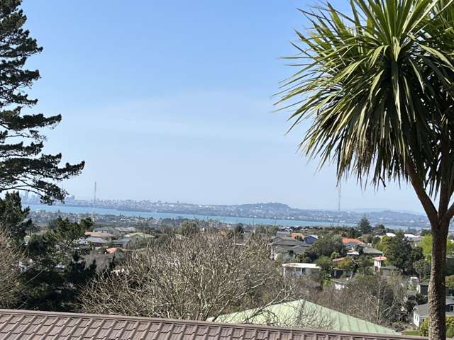 17/241 Don Buck Road 11410_4