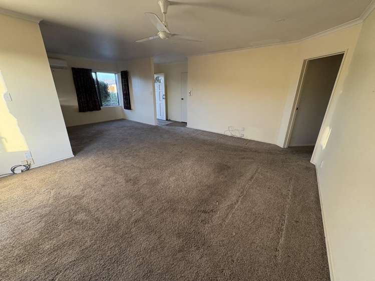 167 Bond Road Te Awamutu_9
