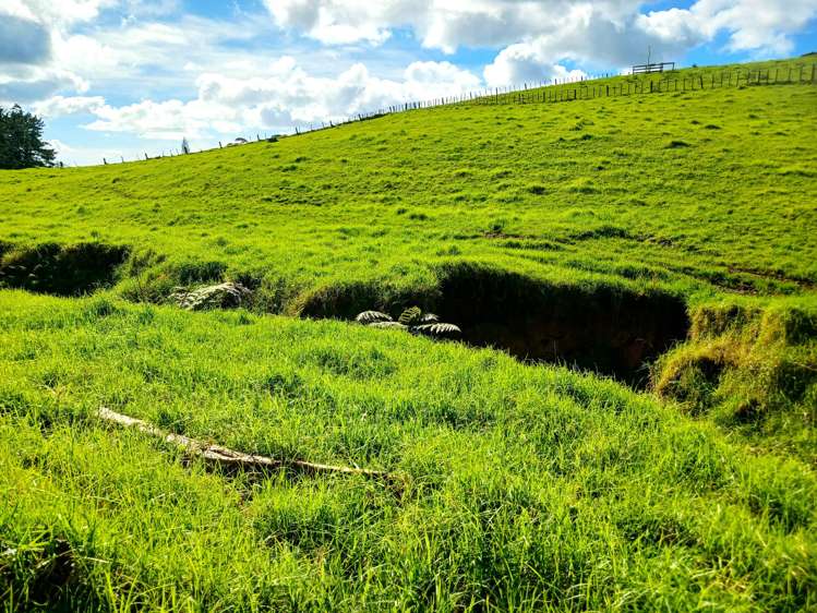 Larmer Road Kaitaia_10