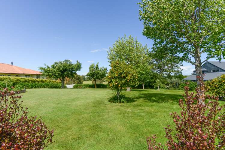 169 Porangahau Road Waipukurau and Surrounds_21