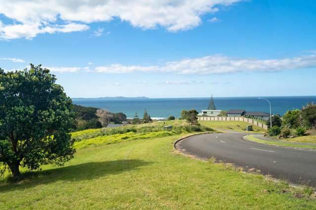 Large Section - Bush Backdrop and Sea Views