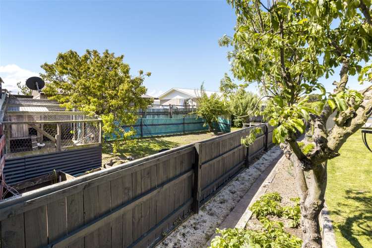 278 Scott Street Witherlea_19