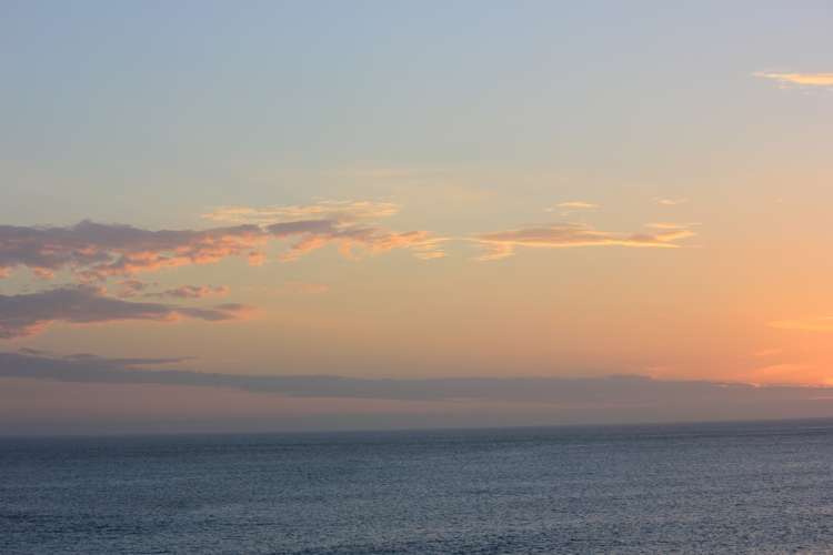 1 Ben Avon Grove Cape Palliser_7