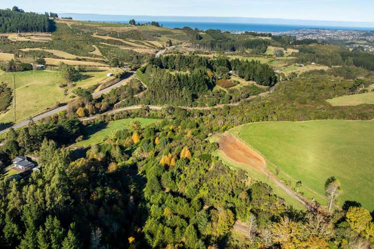 315 Leith Valley Road Leith Valley_21