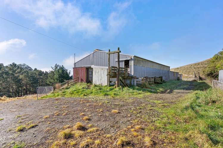 424 Daggs Road Bideford_15