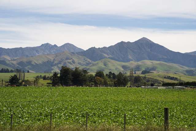 Live the views, love the village