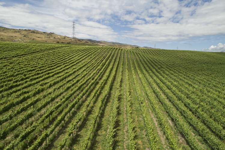 Cairnmuir Road Nevis_12