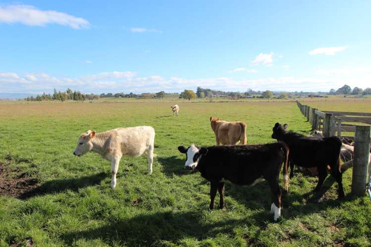 94 Farm Road Waipukurau_21