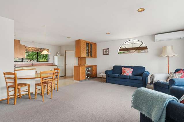 50B McMaster Street Greytown_1