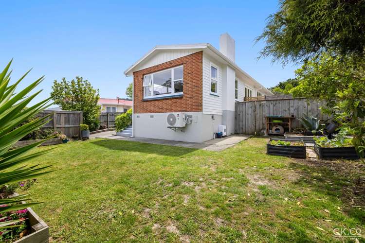 13 Kahikatea Lane Brown Owl_22