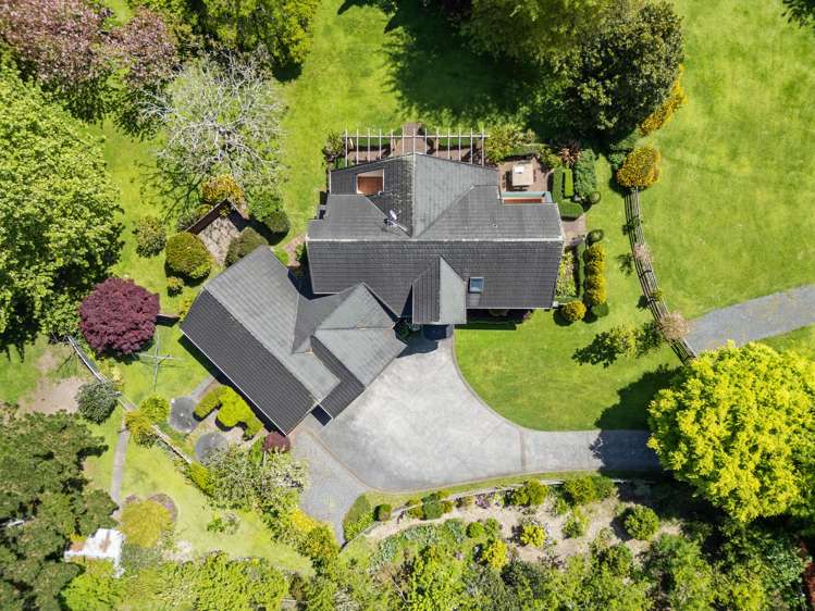 47D Poplar Lane Matangi_39